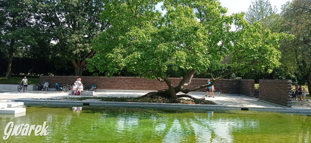 Gdzie na weekend? Może ogród japoński