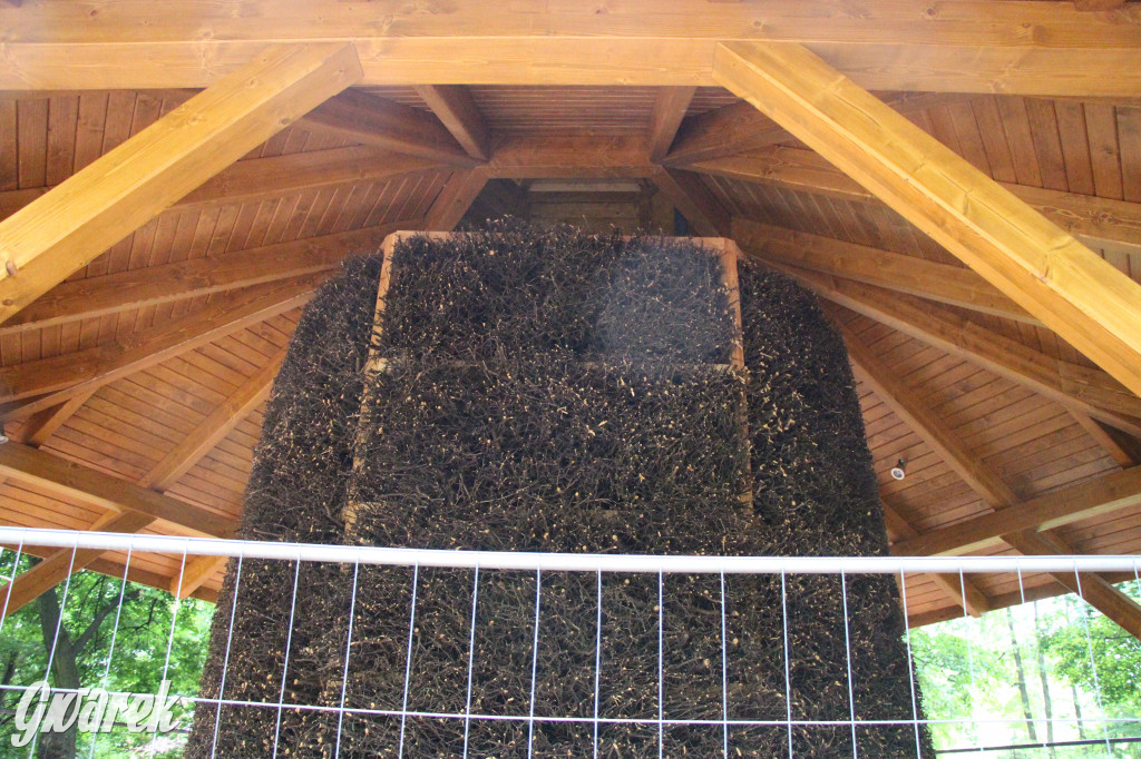 Tężnia solankowa prawie gotowa