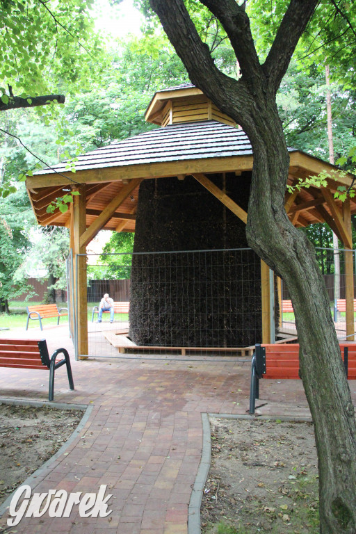 Tężnia solankowa prawie gotowa