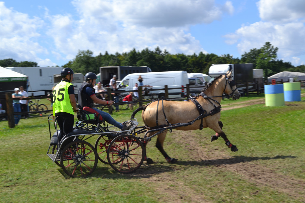 Lando Ptakowice. Elegancja, szyk, emocje