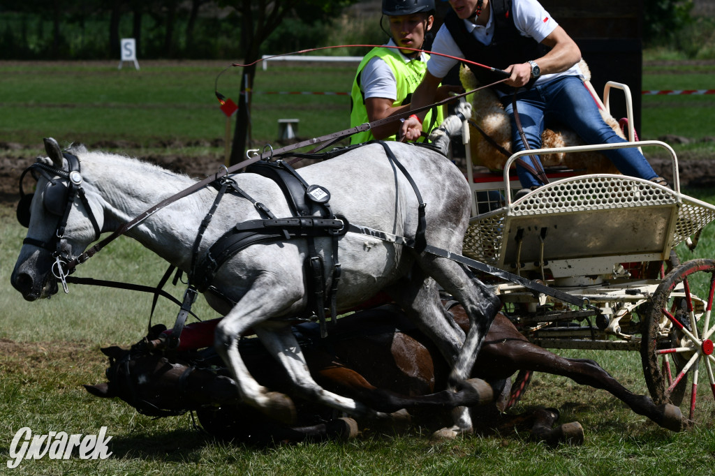 Lando Ptakowice. Elegancja, szyk, emocje