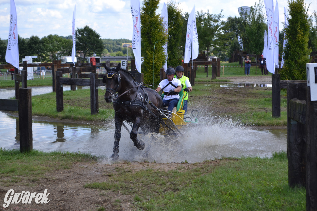 Lando Ptakowice. Elegancja, szyk, emocje
