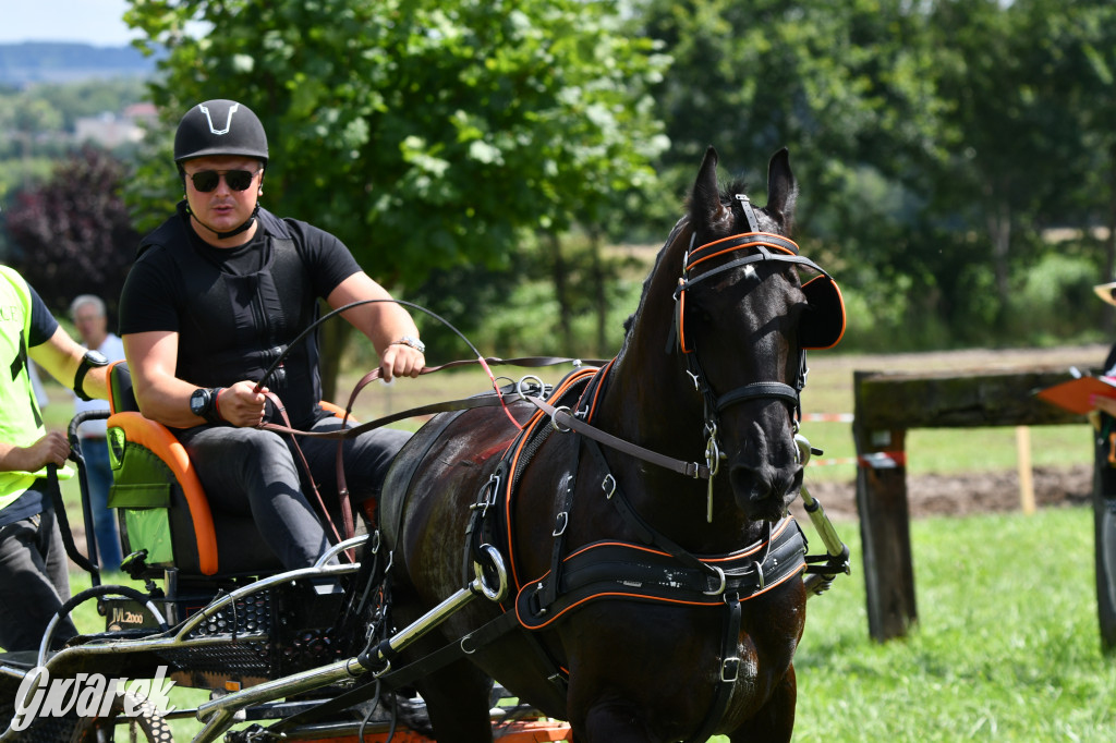 Lando Ptakowice. Elegancja, szyk, emocje