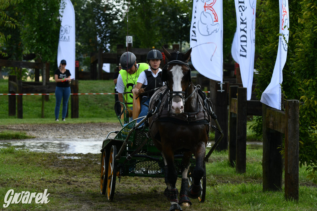 Lando Ptakowice. Elegancja, szyk, emocje