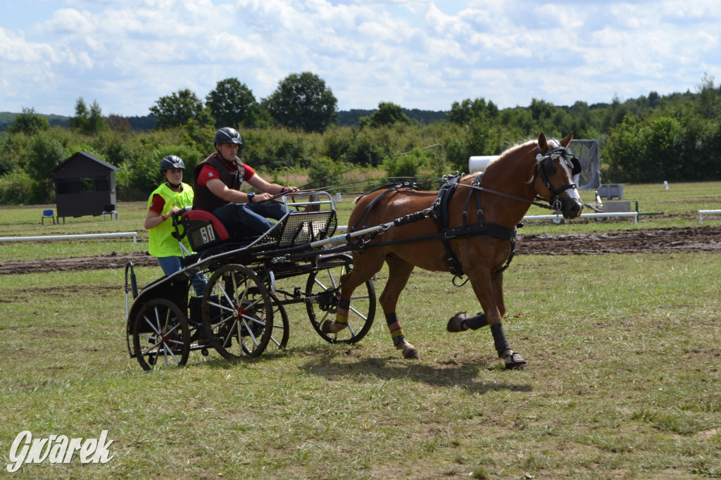 Lando Ptakowice. Elegancja, szyk, emocje