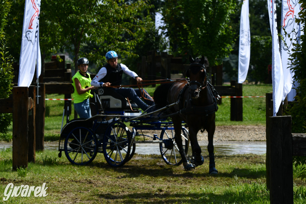 Lando Ptakowice. Elegancja, szyk, emocje