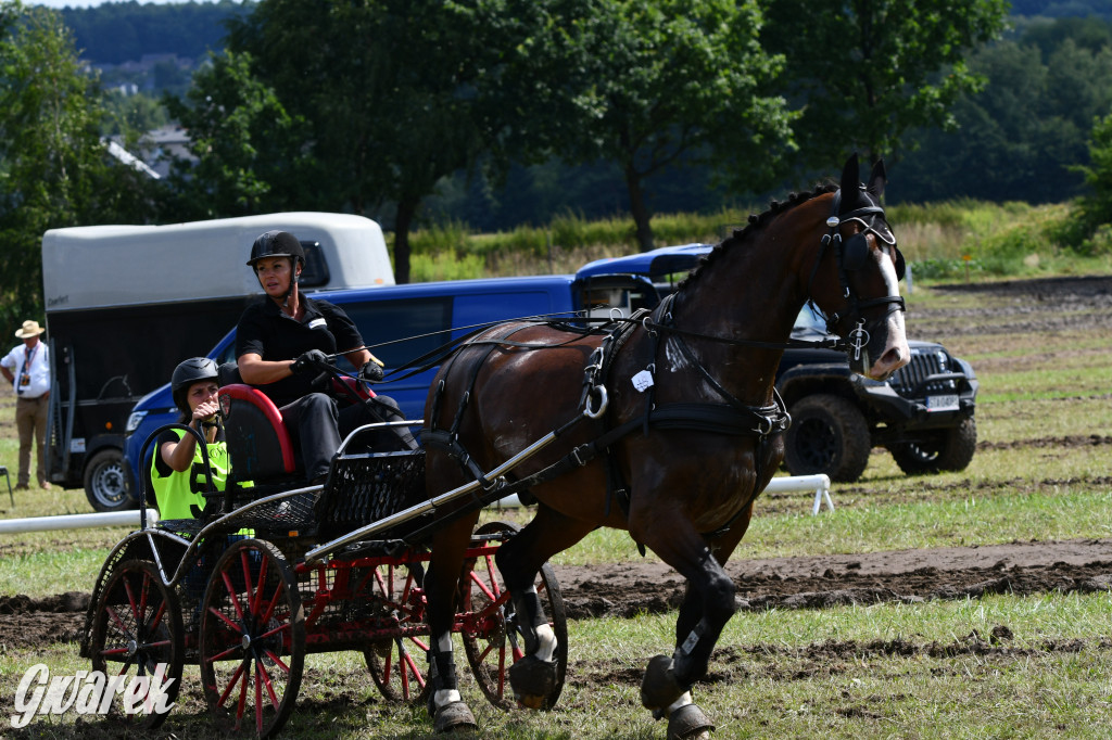 Lando Ptakowice. Elegancja, szyk, emocje
