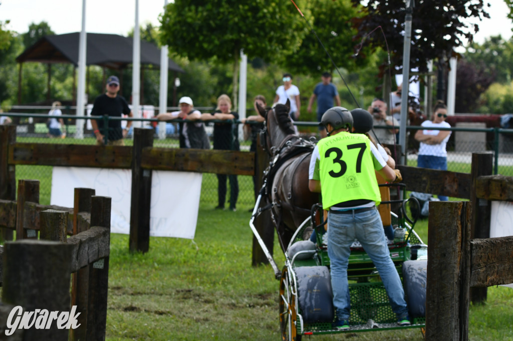Lando Ptakowice. Elegancja, szyk, emocje