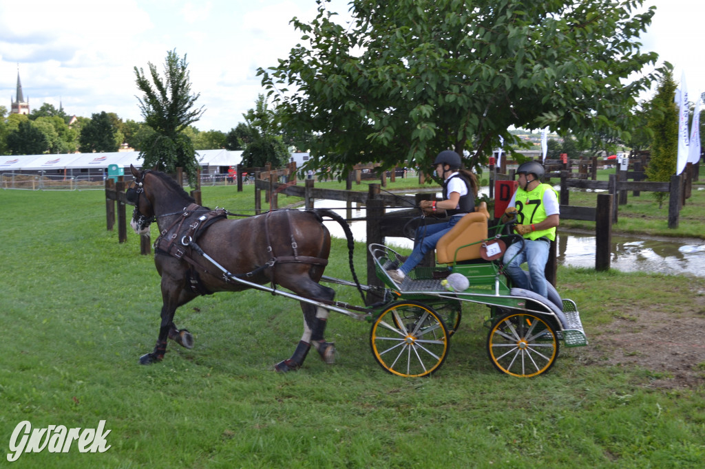 Lando Ptakowice. Elegancja, szyk, emocje