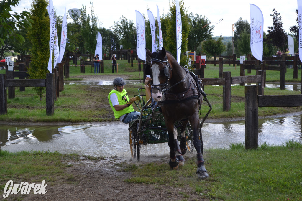 Lando Ptakowice. Elegancja, szyk, emocje