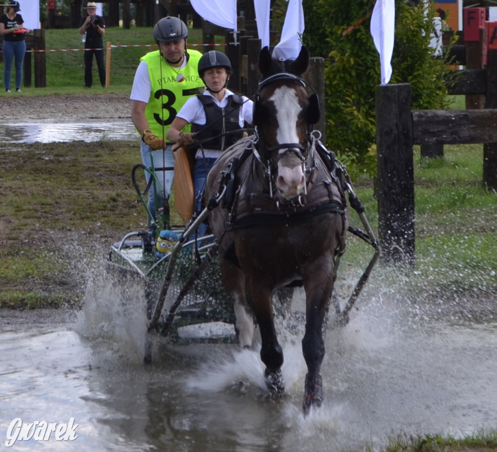 Lando Ptakowice. Elegancja, szyk, emocje