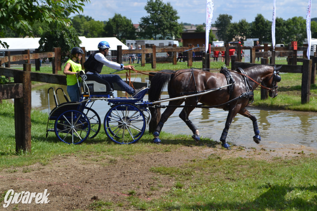 Lando Ptakowice. Elegancja, szyk, emocje