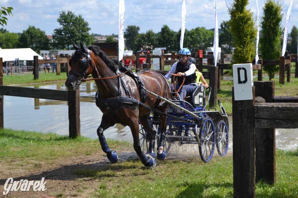 Lando Ptakowice. Elegancja, szyk, emocje