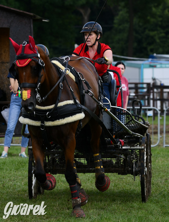 Lando Ptakowice. Elegancja, szyk, emocje