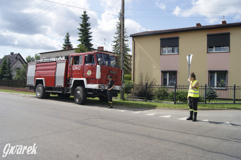 Rozbiegane Koty czyli III Kotowski Bieg i Marsz