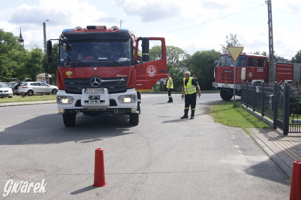 Rozbiegane Koty czyli III Kotowski Bieg i Marsz