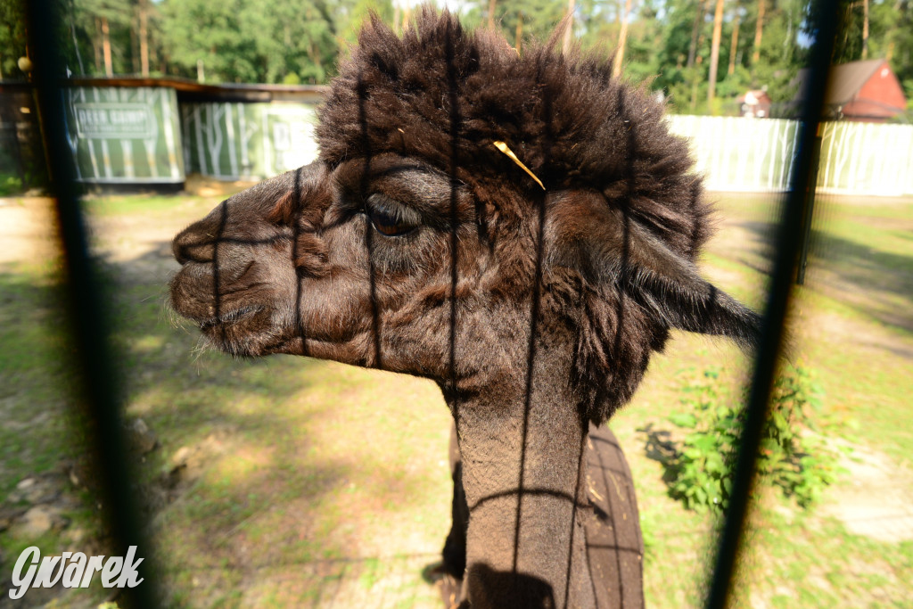 Popołudnie nad zalewem Nakło-Chechło