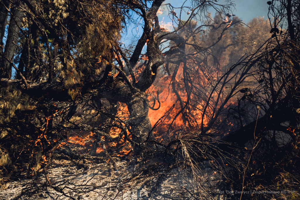 Strażacy w Grecji w obiektywie Piotra Zwarycza