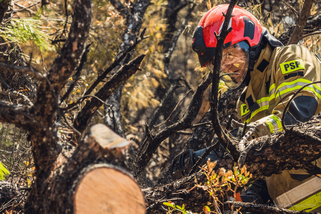 Strażacy w Grecji w obiektywie Piotra Zwarycza