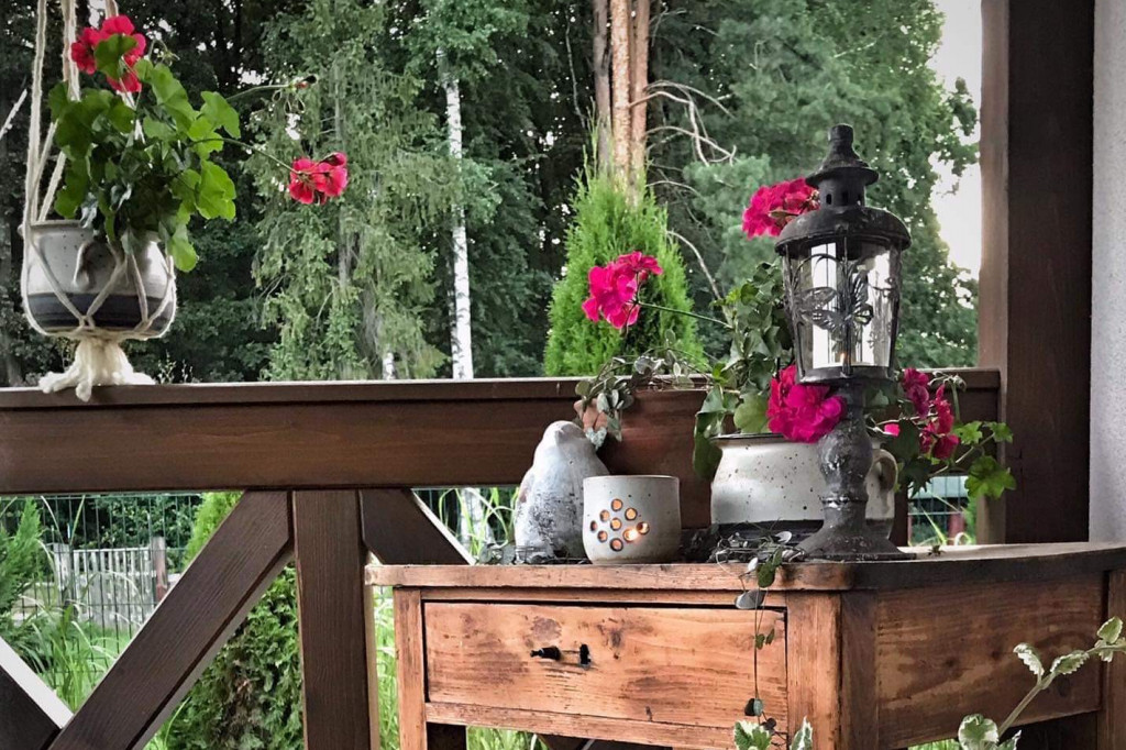 Plebiscyt na najładniejszy ogród i balkon