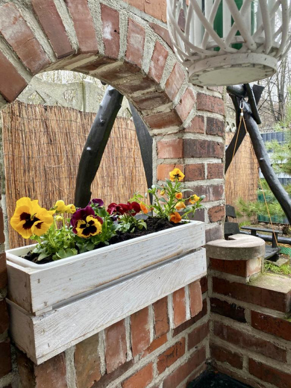 Plebiscyt na najładniejszy ogród i balkon