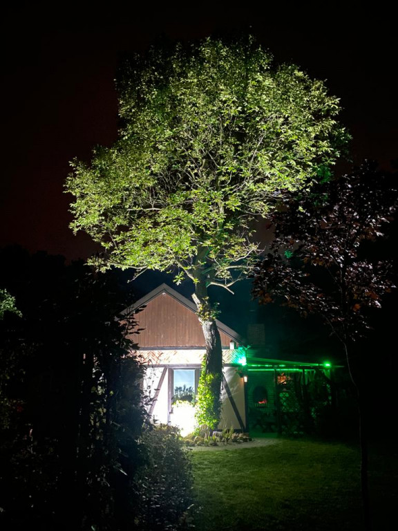 Plebiscyt na najładniejszy ogród i balkon