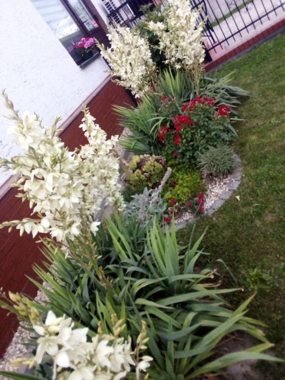 Plebiscyt na najładniejszy ogród i balkon