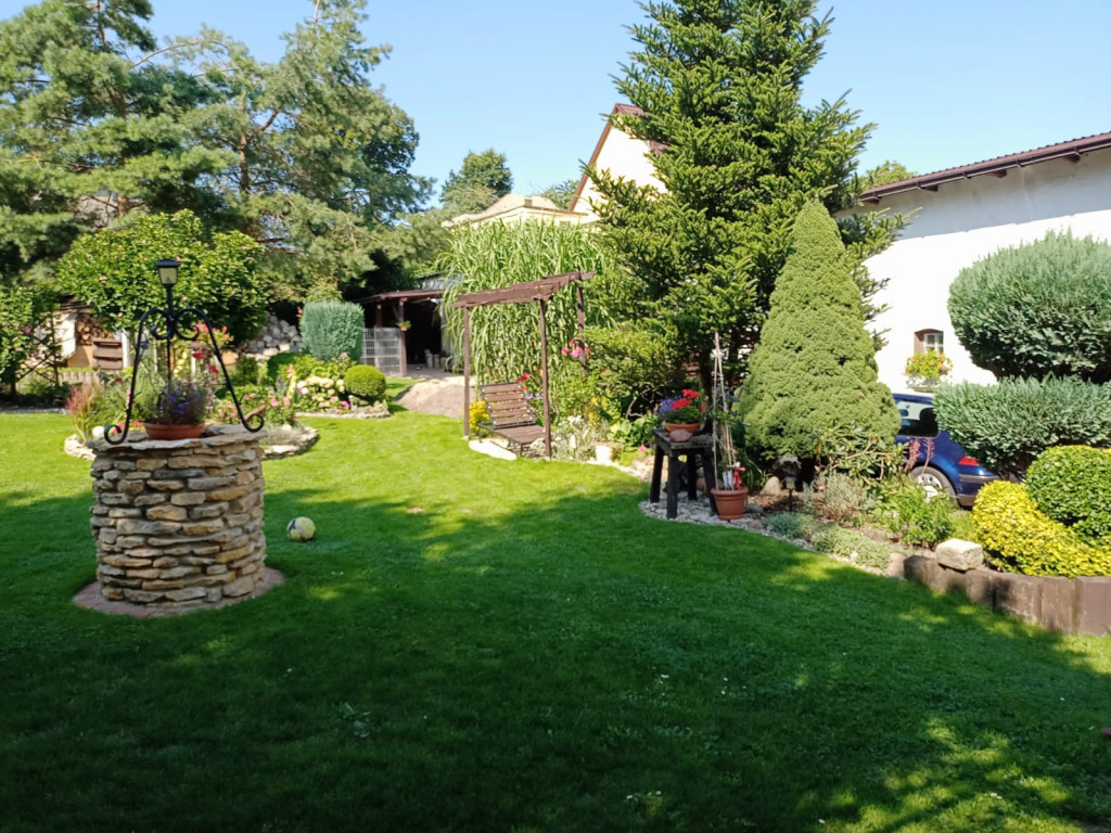 Plebiscyt na najładniejszy ogród i balkon