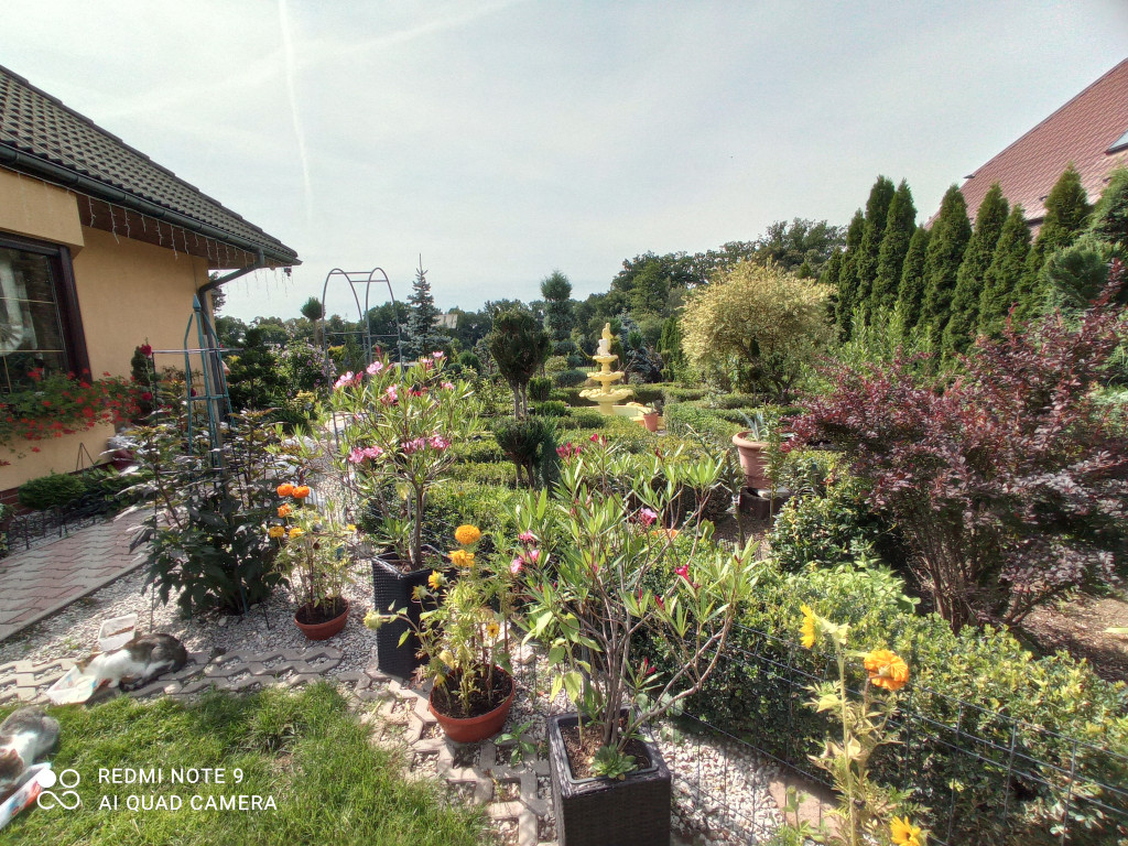 Plebiscyt na najładniejszy ogród i balkon