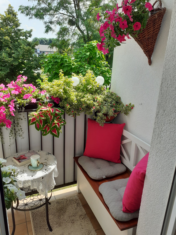 Plebiscyt na najładniejszy ogród i balkon