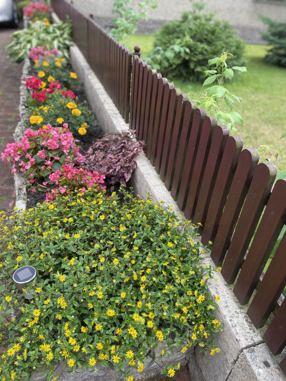 Plebiscyt na najładniejszy ogród i balkon