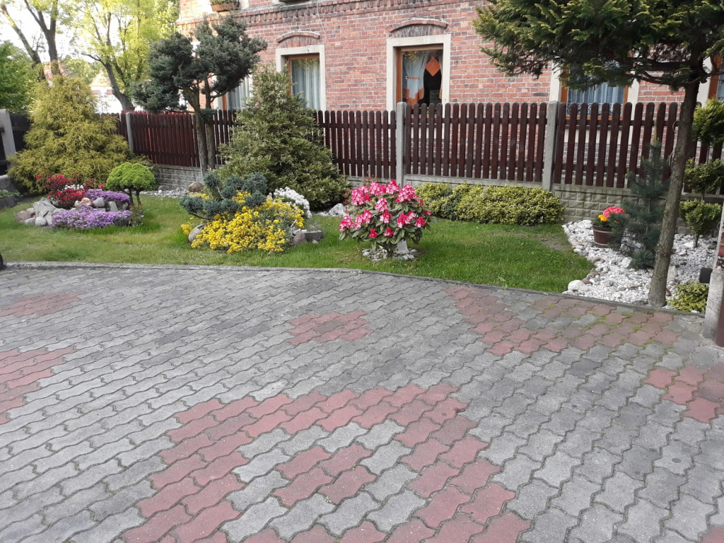 Plebiscyt na najładniejszy ogród i balkon