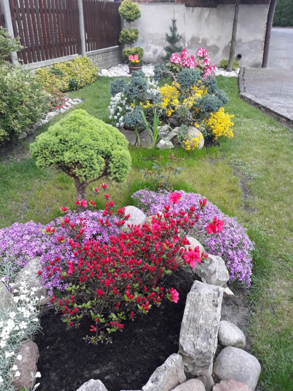 Plebiscyt na najładniejszy ogród i balkon