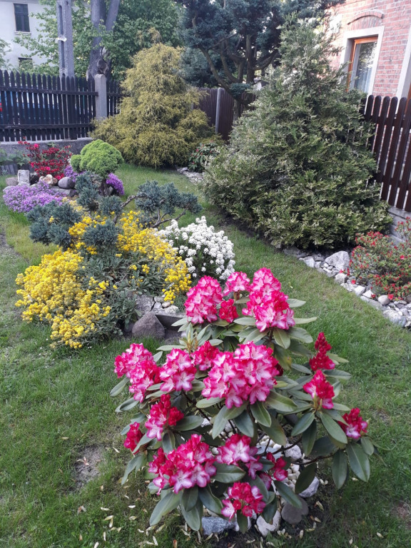 Plebiscyt na najładniejszy ogród i balkon