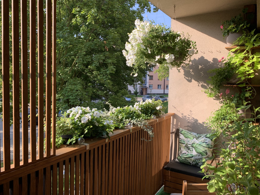 Plebiscyt na najładniejszy ogród i balkon