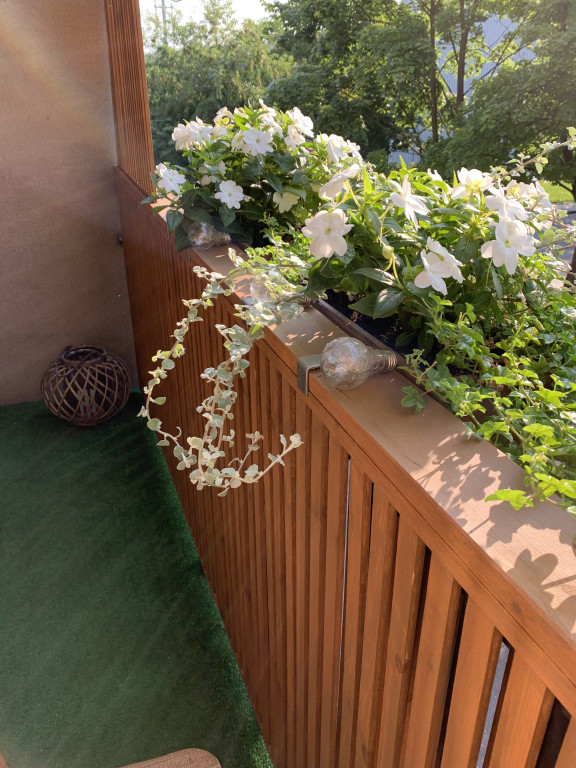 Plebiscyt na najładniejszy ogród i balkon