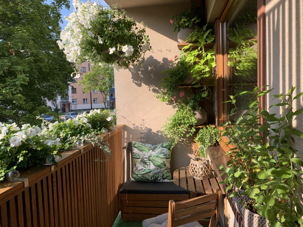 Plebiscyt na najładniejszy ogród i balkon