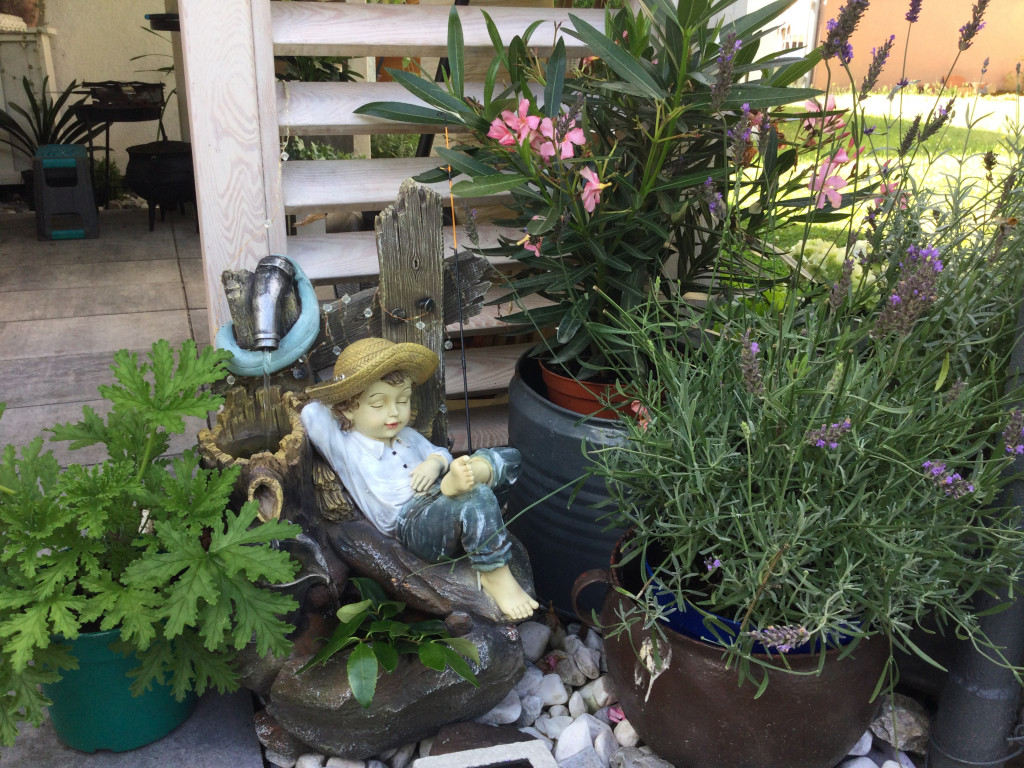 Plebiscyt na najładniejszy ogród i balkon