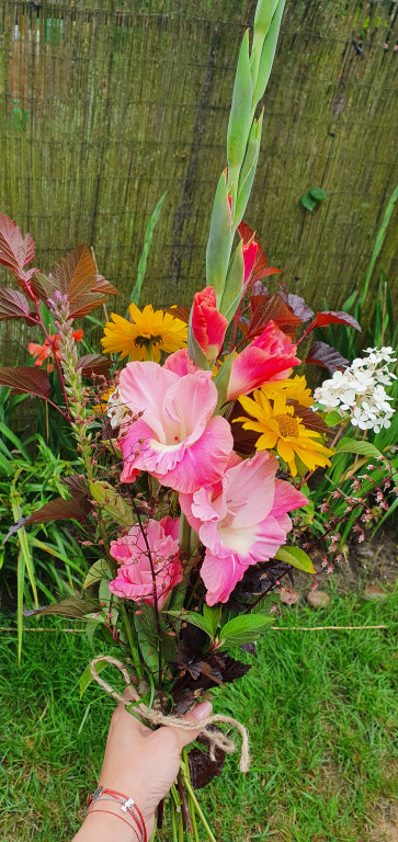 Plebiscyt na najładniejszy ogród i balkon