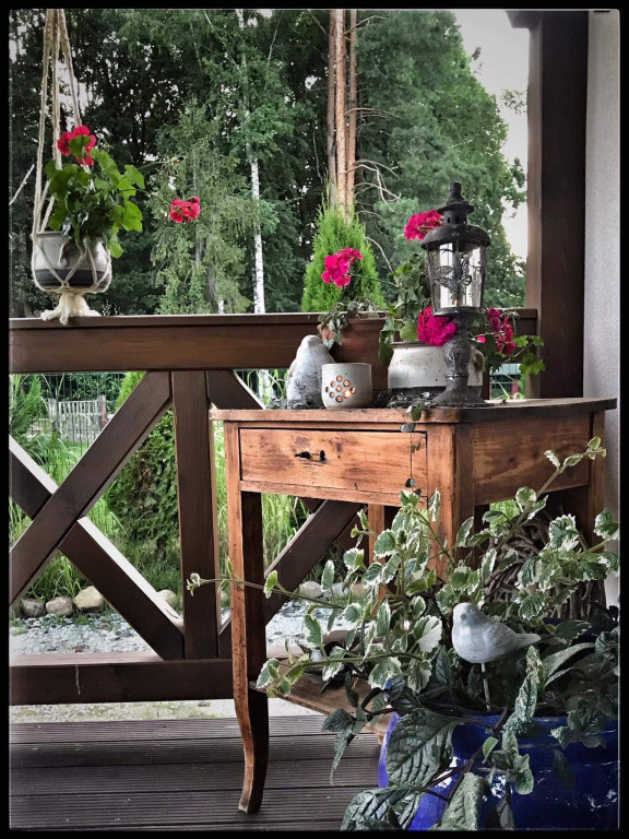 Plebiscyt na najładniejszy ogród i balkon