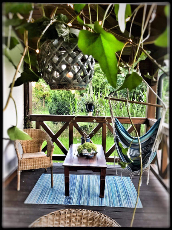 Plebiscyt na najładniejszy ogród i balkon