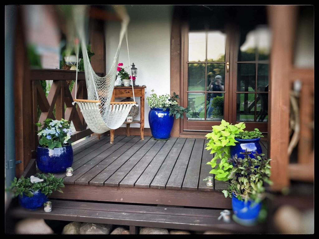 Plebiscyt na najładniejszy ogród i balkon