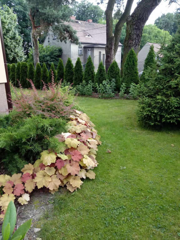 Plebiscyt na najładniejszy ogród i balkon