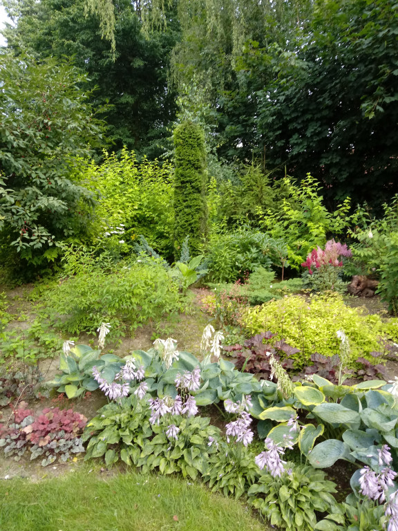 Plebiscyt na najładniejszy ogród i balkon