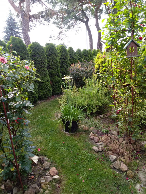 Plebiscyt na najładniejszy ogród i balkon