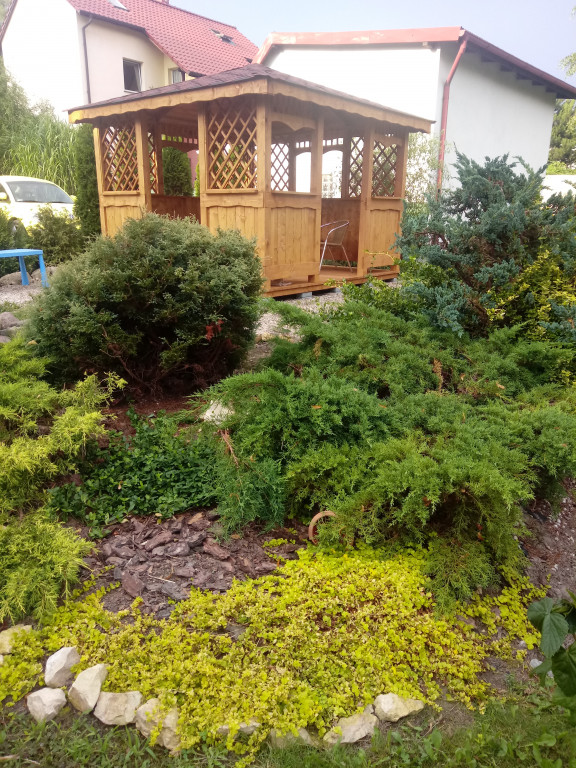 Plebiscyt na najładniejszy ogród i balkon