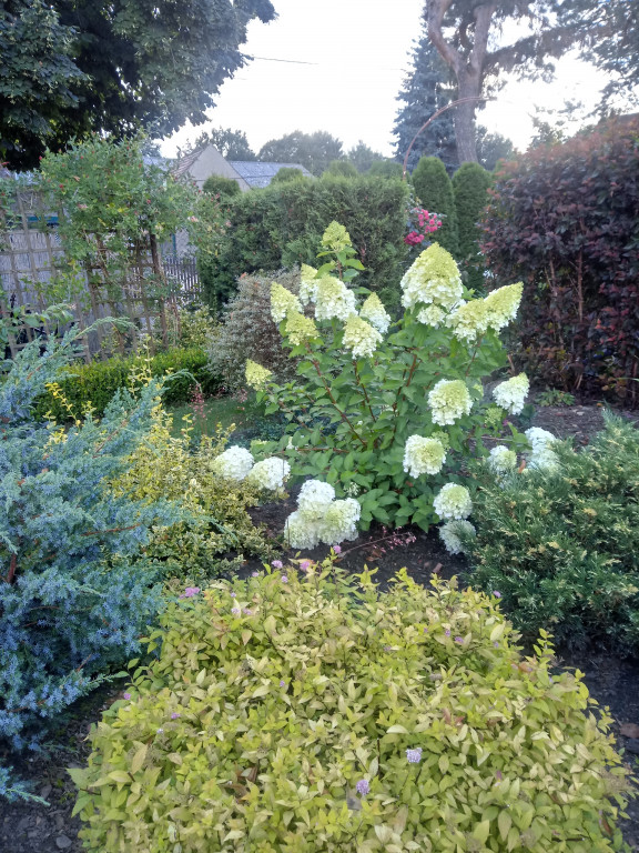 Plebiscyt na najładniejszy ogród i balkon