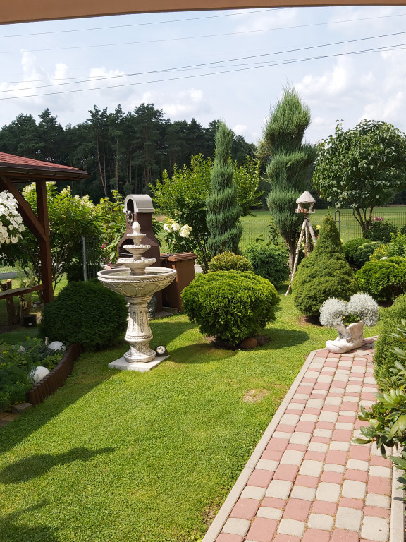 Plebiscyt na najładniejszy ogród i balkon
