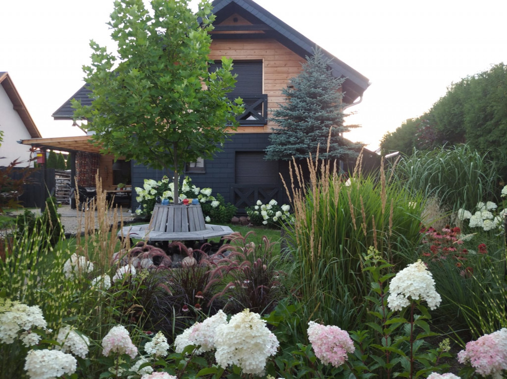 Plebiscyt na najładniejszy ogród i balkon