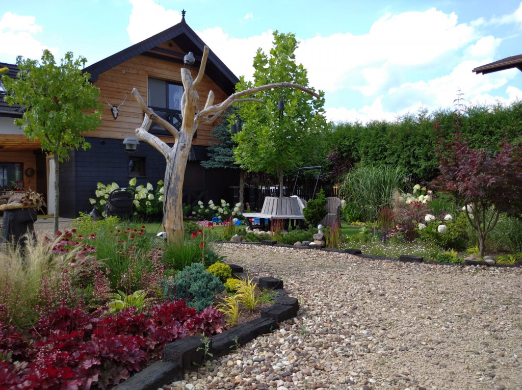 Plebiscyt na najładniejszy ogród i balkon